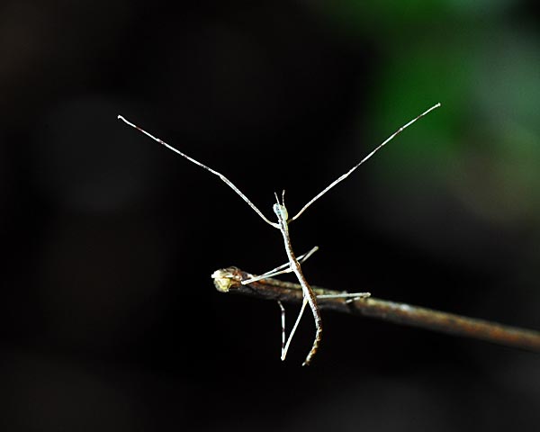 e0035757_17483413.jpg