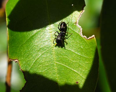 e0035757_1748571.jpg