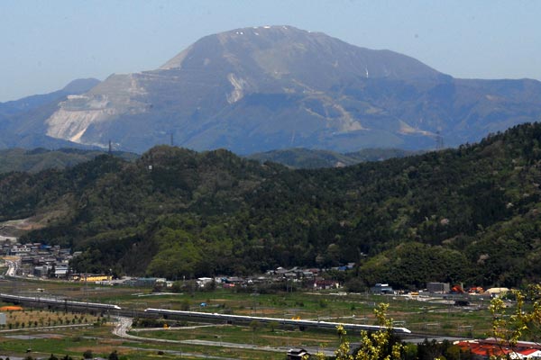 滋賀県　佐和山　和タンポポが咲く佐和山城跡_e0035757_175033100.jpg