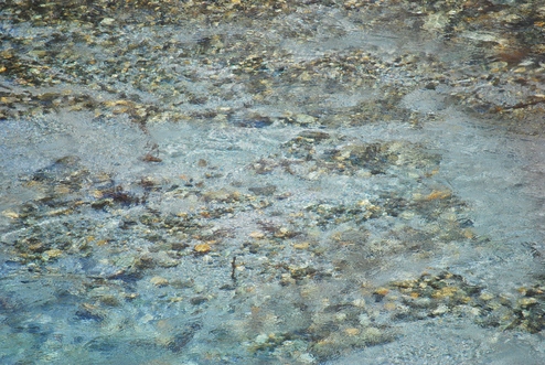 f0161757_1044014.jpg
