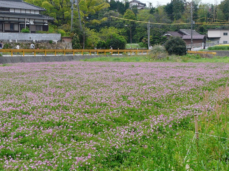d0244960_10144621.jpg