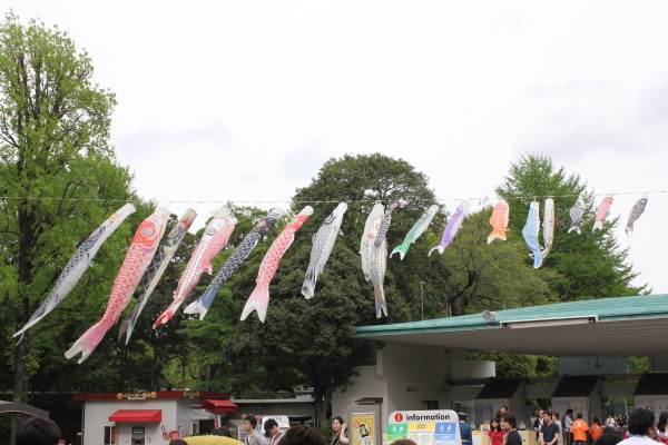 GW！上野動物園の混み具合を写真に撮ってきたどぉ～_e0086860_2314484.jpg