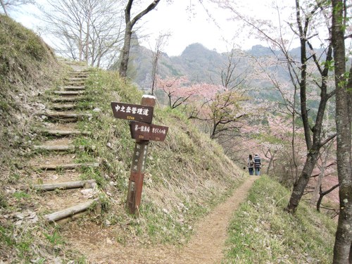 f0236260_12105337.jpg