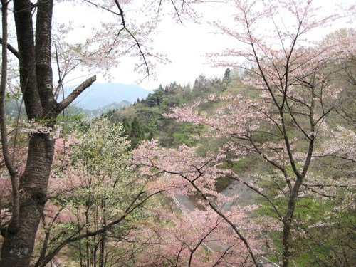 f0236260_12132088.jpg