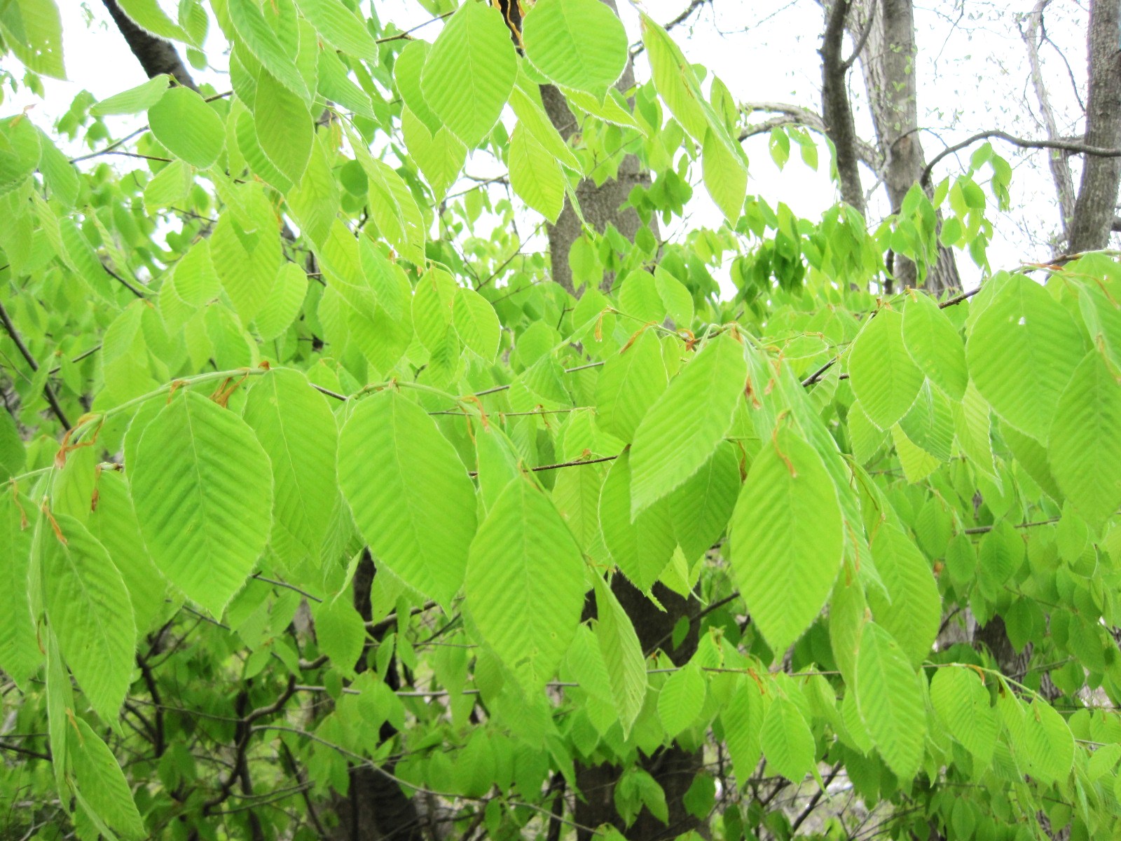 f0236260_12174354.jpg