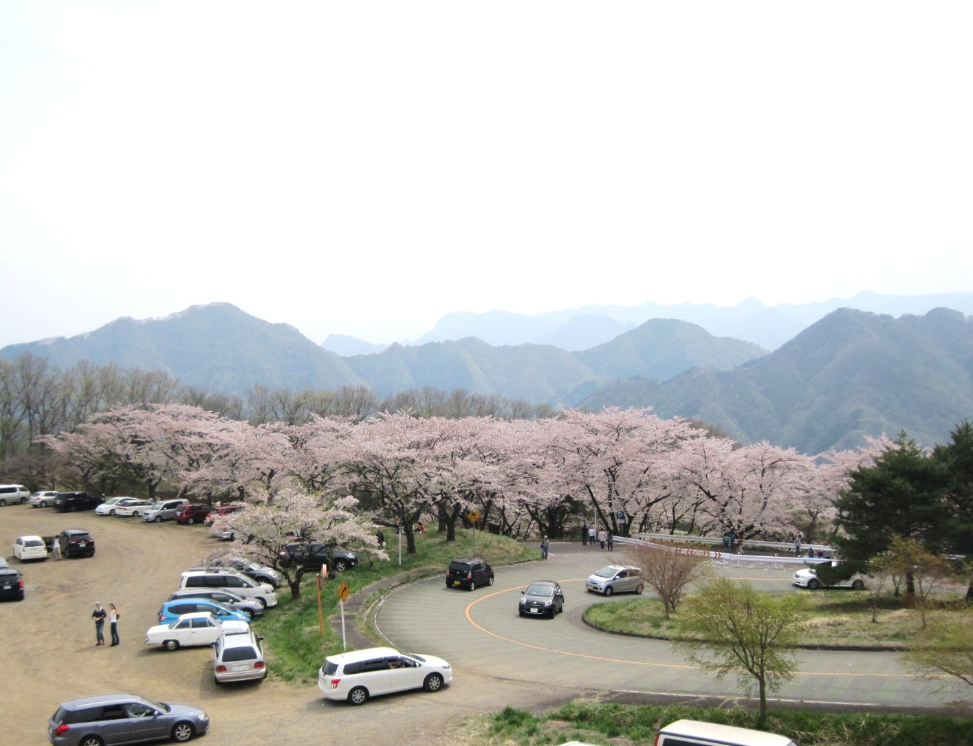 f0236260_1254616.jpg