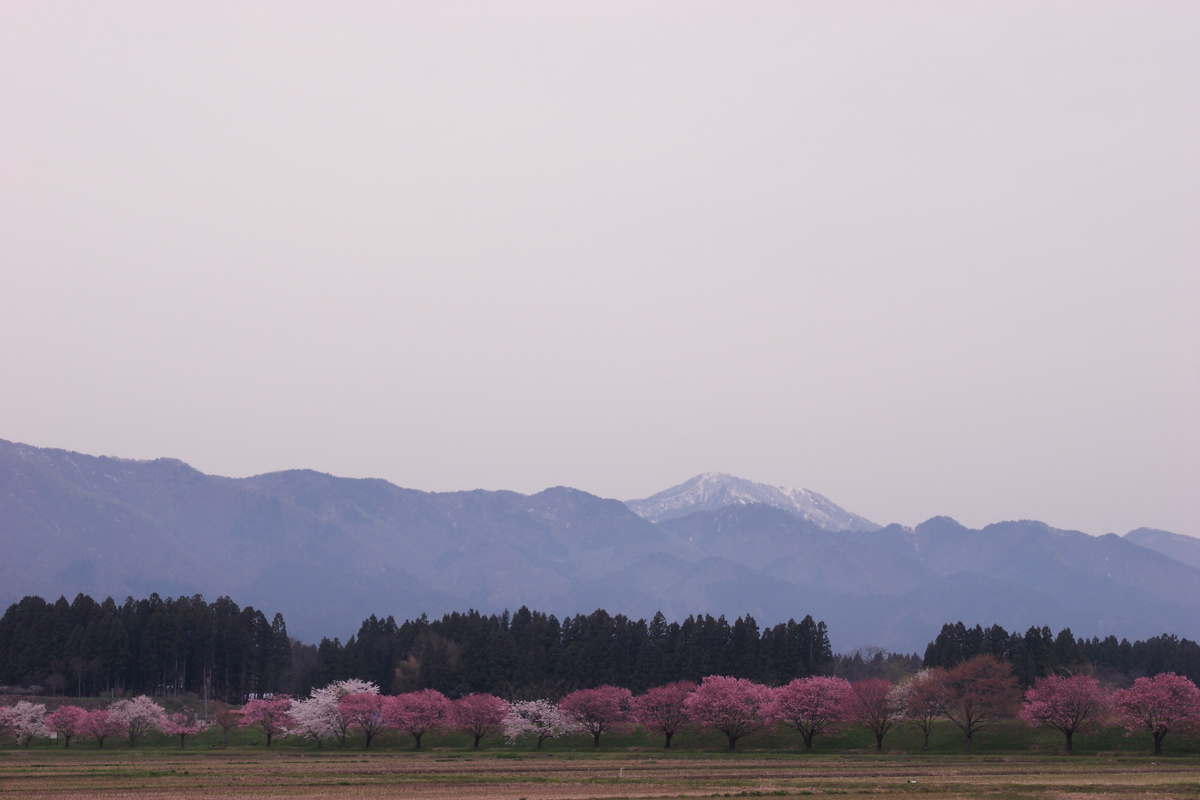 花曇りなのか？_e0138361_1752980.jpg