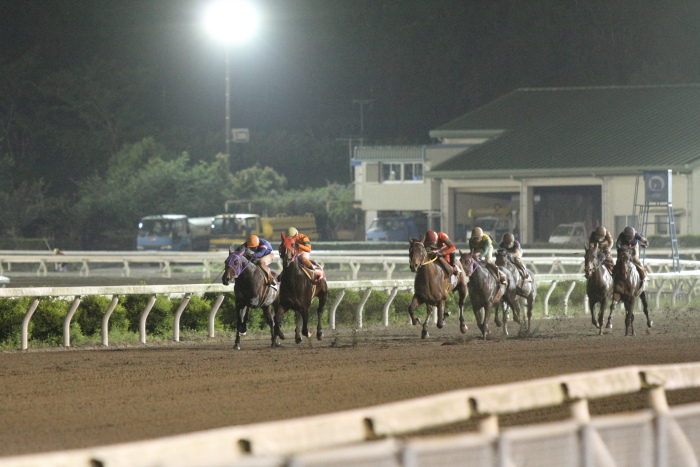 2012年4月28日（土） 高知競馬 10R 内原野つつじ特別 C2-1選抜馬_a0077663_171251.jpg