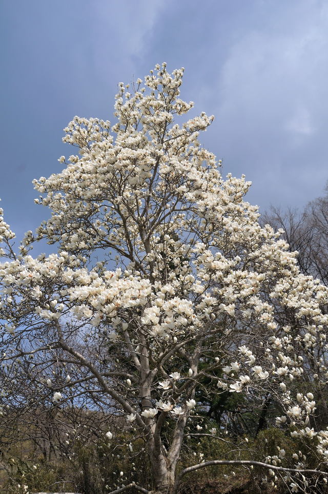 b0223668_8102227.jpg