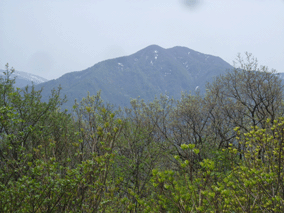 d0094868_1141257.gif