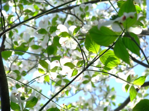e0045768_22483189.jpg