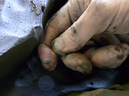 f0014970_1757214.jpg