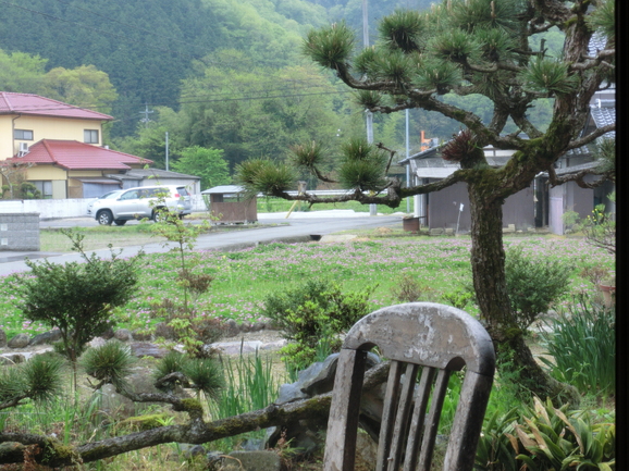b0244372_20222616.jpg