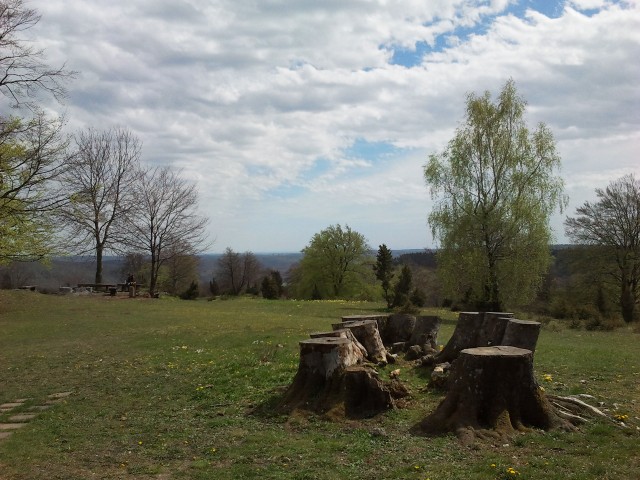 d0116376_73145.jpg