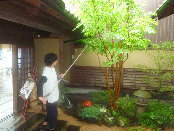 見守る赤猫_d0230676_10115641.jpg