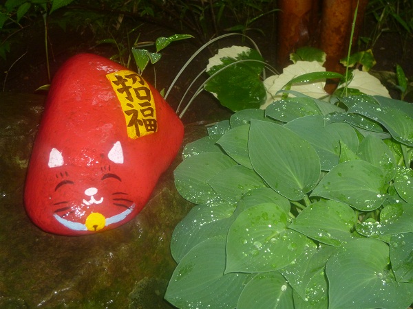 見守る赤猫_d0230676_10135112.jpg