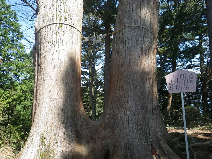 3歳のバースデーは御嶽山登山♪_b0184877_1122819.jpg