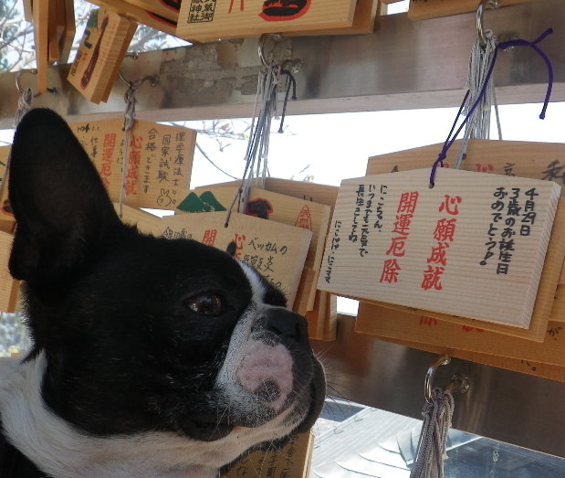 3歳のバースデーは御嶽山登山♪_b0184877_113237100.jpg