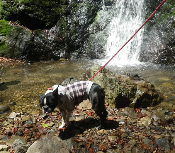 3歳のバースデーは御嶽山登山♪_b0184877_11535186.jpg