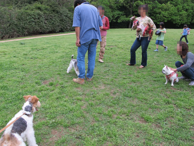 c0070377_21131890.gif
