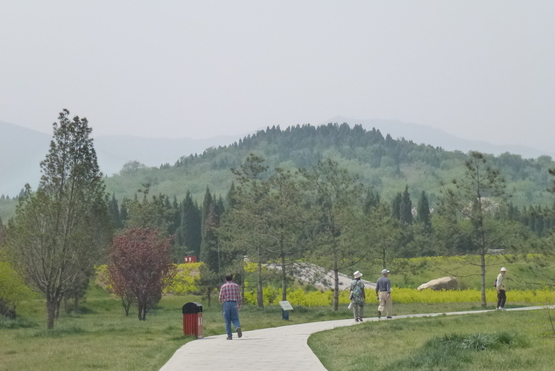 b0224178_11381027.jpg