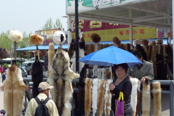 b0224178_13303368.jpg