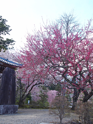 a0224382_9281.jpg