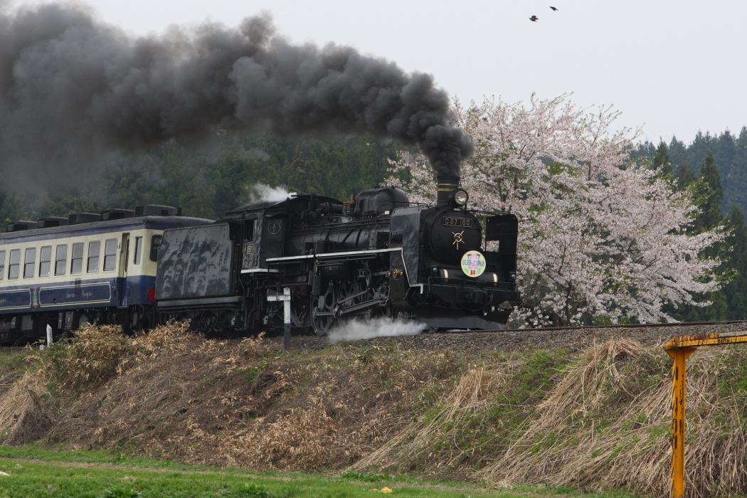 SLサクラ　西会津上野尻　２０１２・０４・３０_e0143883_18212535.jpg