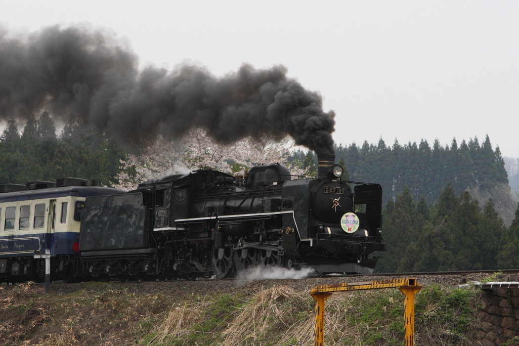 SLサクラ　西会津上野尻　２０１２・０４・３０_e0143883_1822863.jpg