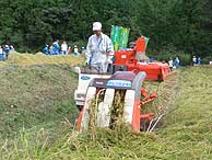 稲刈り体験(月光原小・西根小)_d0247484_11104773.jpg
