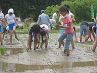 田植え体験(月光原小・西根小)_d0247484_2130760.jpg