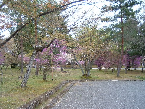 f0035184_13502759.jpg