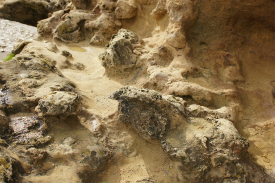 e0206490_17422314.jpg