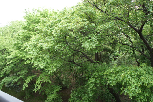 c0227800_9585736.jpg