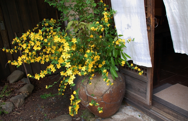 伝説のカフェ「茶房 李白」_a0169902_23311314.jpg