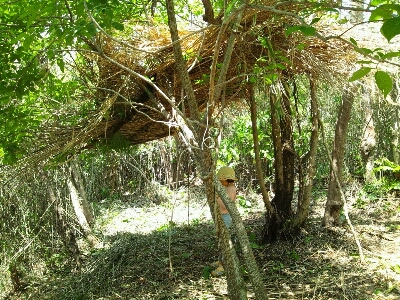 「原っぱ大学」にて秘密基地作り_f0154002_0314158.jpg