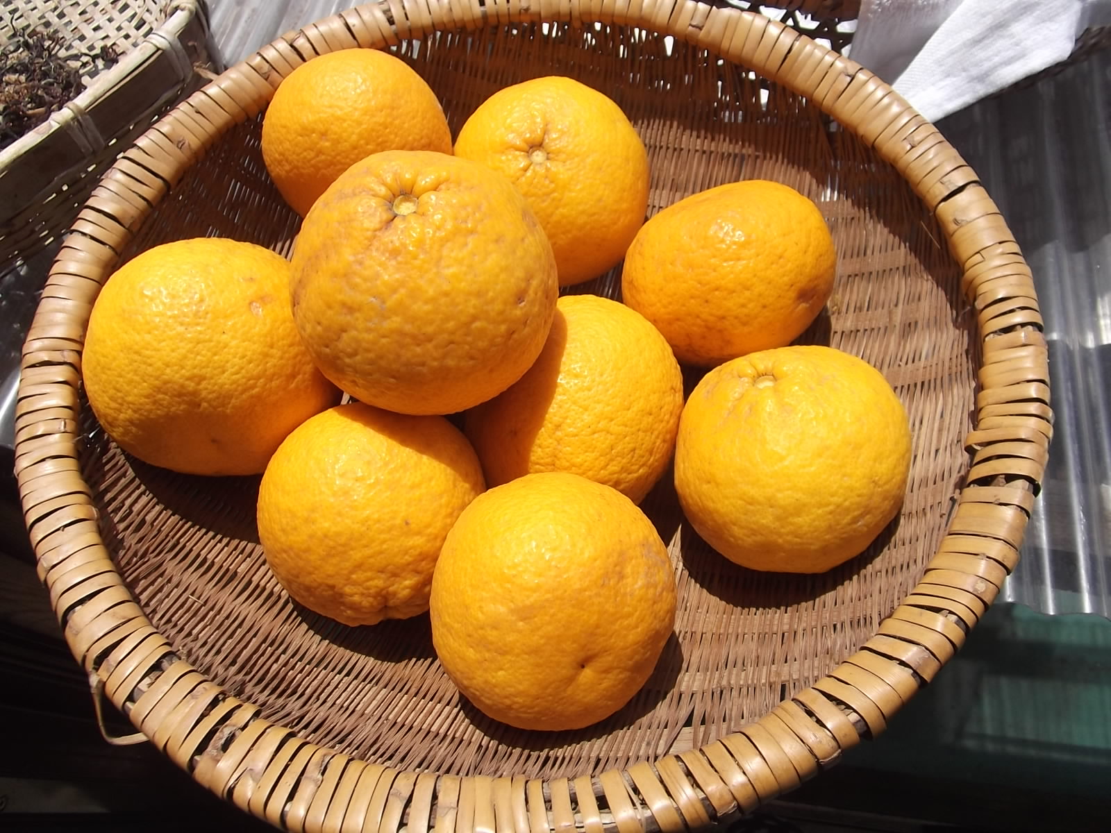 a0203003_18352641.jpg