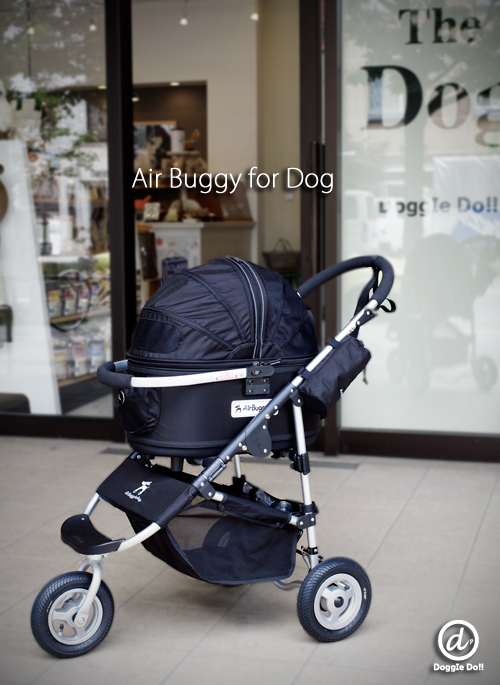 Air Buggy for dog_a0072609_1444590.jpg