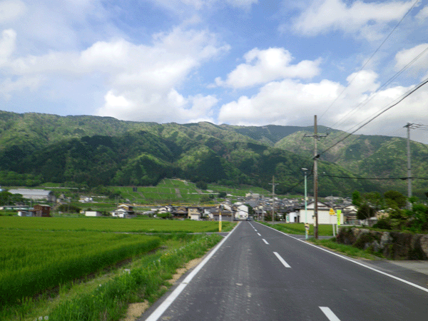 b0000209_18174841.gif
