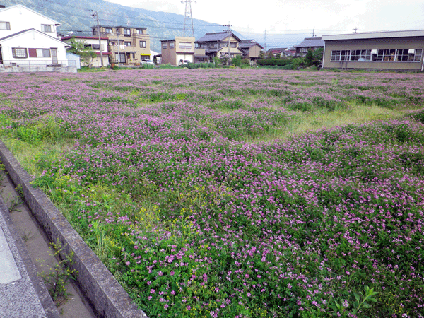 b0000209_1817626.gif