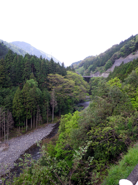 b0000209_18203319.gif