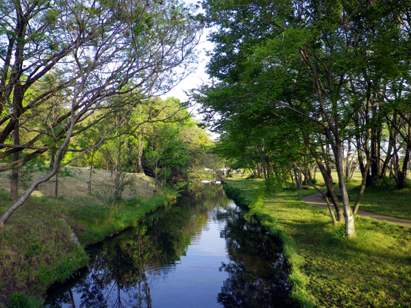 b0000209_1872055.gif