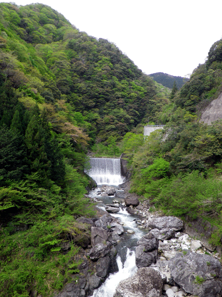 b0000209_20244770.gif