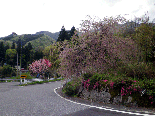b0000209_2030639.gif