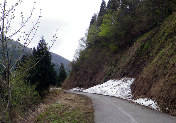 b0000209_20341575.gif