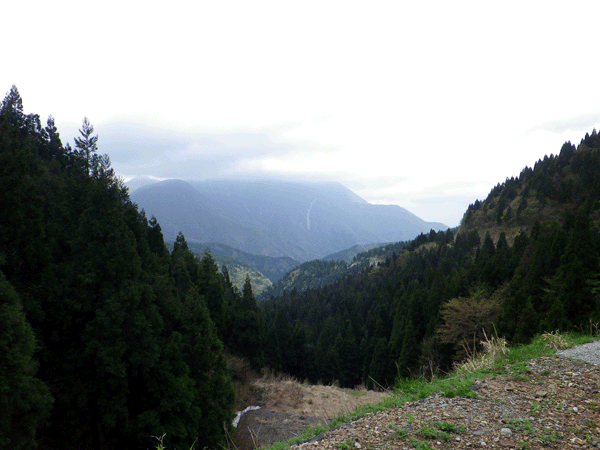 b0000209_20362488.gif