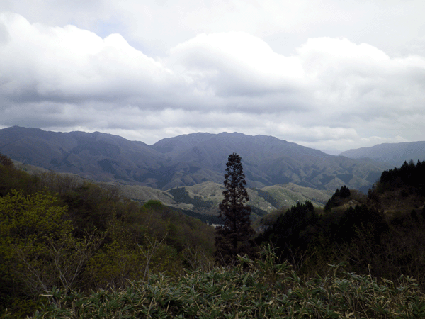 b0000209_2036341.gif