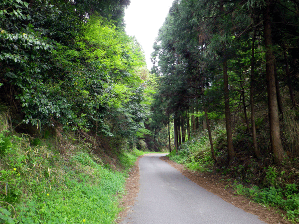 b0000209_20452679.gif