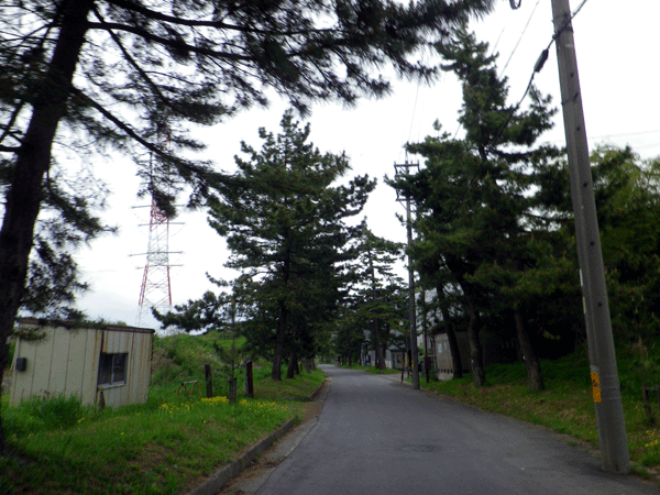 b0000209_210259.gif