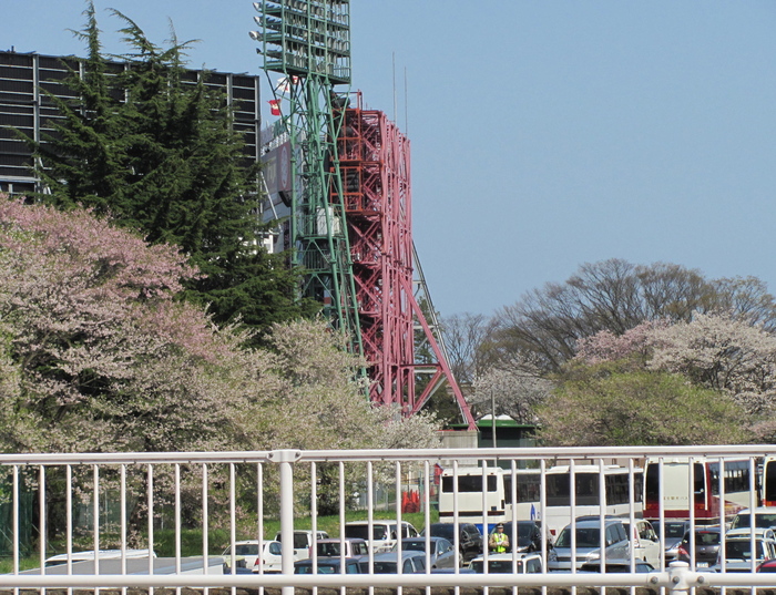 仙台市内をあちこち・・・桜を追って〜〜！_b0190709_1663291.jpg